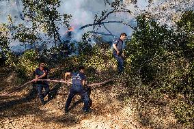 Raging Wildfire Prompts Evacuations - İzmir