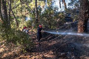 Raging Wildfire Prompts Evacuations - İzmir