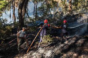 Raging Wildfire Prompts Evacuations - İzmir