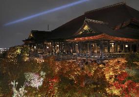 Kiyomizu temple lit up in Kyoto