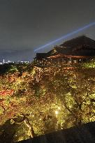 Kiyomizu temple lit up in Kyoto