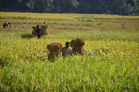 Daily Life In India