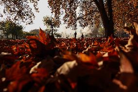 Winters In Kashmir