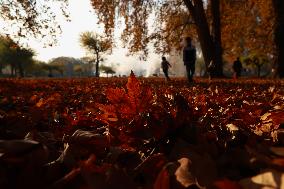 Winters In Kashmir