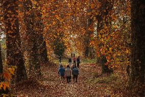 Autumn Season In Kashmir