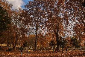 Autumn Season In Kashmir