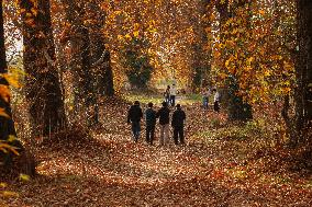 Autumn Season In Kashmir