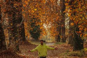 Autumn Season In Kashmir