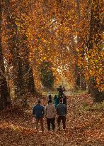 Autumn Season In Kashmir