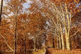 Autumn Season In Kashmir