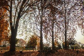 Autumn Season In Kashmir