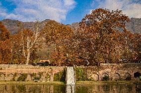 Autumn Season In Kashmir