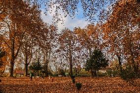 Autumn Season In Kashmir