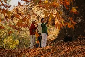 Autumn Season In Kashmir