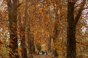 Autumn Season In Kashmir