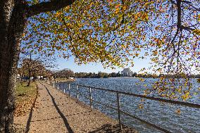 Thomas Jefferson Memorial In Washington DC