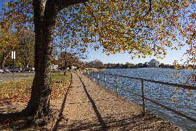 Thomas Jefferson Memorial In Washington DC