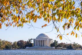 Thomas Jefferson Memorial In Washington DC