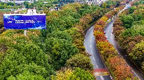 WIC Wuzhen Summit Billboard