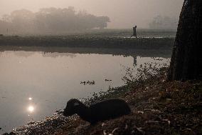 Daily Life In Mymensingh