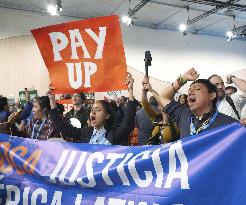 Protesters at COP29