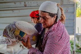 Baking Tradition - Turkey