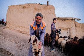 Daily Life In Rural Iran