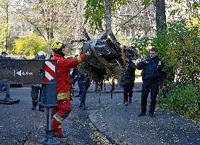 Aftermath of massive Russian missile and drone attack in Kyiv