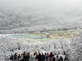 Colorful Pond Cluster After Snow - China