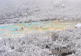 Colorful Pond Cluster After Snow - China