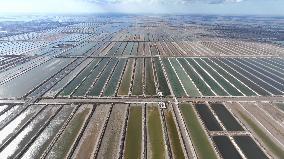 Salt Field in Cangzhou