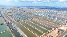 Salt Field in Cangzhou