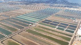 Salt Field in Cangzhou