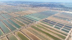 Salt Field in Cangzhou