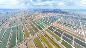 Salt Field in Cangzhou