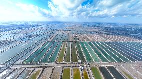 Salt Field in Cangzhou