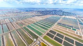 Salt Field in Cangzhou