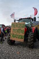 Farmers Protest - Grenoble