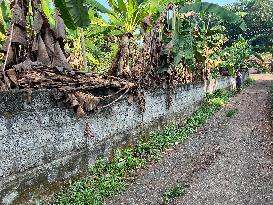 Daily Life In Pathanamthitta