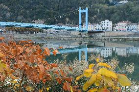 Bridge Of Pont De Serrieres