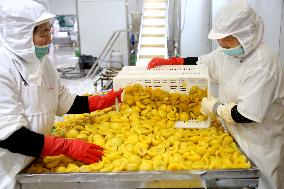 Canned Yellow Peaches Production