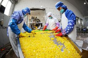 Canned Yellow Peaches Production