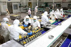 Canned Yellow Peaches Production