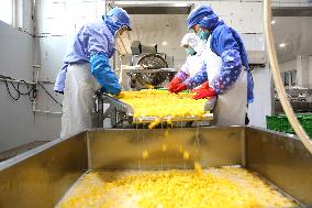 Canned Yellow Peaches Production