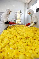 Canned Yellow Peaches Production