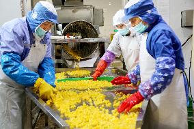 Canned Yellow Peaches Production