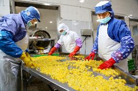 Canned Yellow Peaches Production