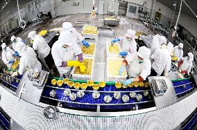 Canned Yellow Peaches Production