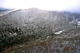 Mt. Daisen covered with season's 1st snow