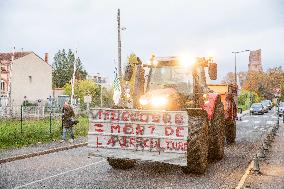 Farmers Protest - Albi